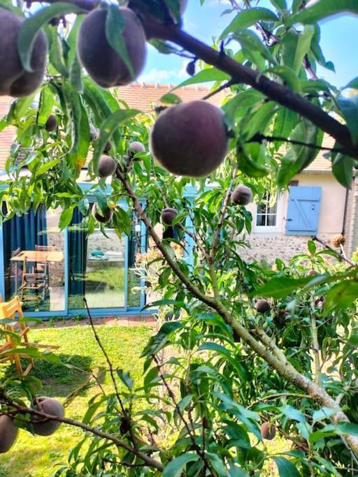 Charmante Maisonnette En Pierre Écardenville-sur-Eure Exteriör bild
